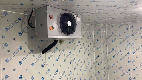 推薦 厚街速凍庫燈多少錢一平